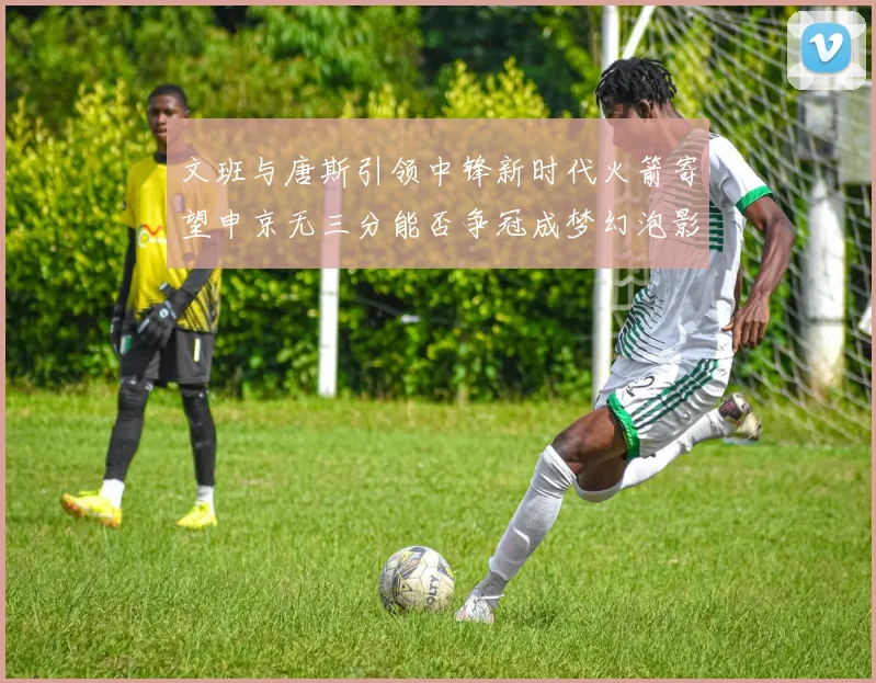 文班与唐斯引领中锋新时代火箭寄望申京无三分能否争冠成梦幻泡影