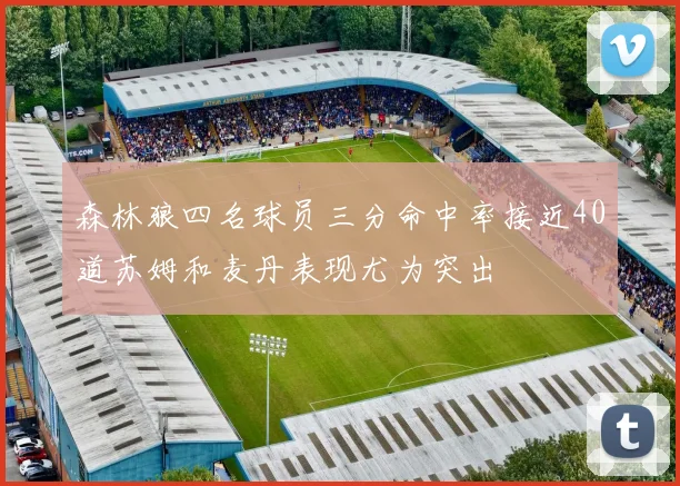 森林狼四名球员三分命中率接近40道苏姆和麦丹表现尤为突出