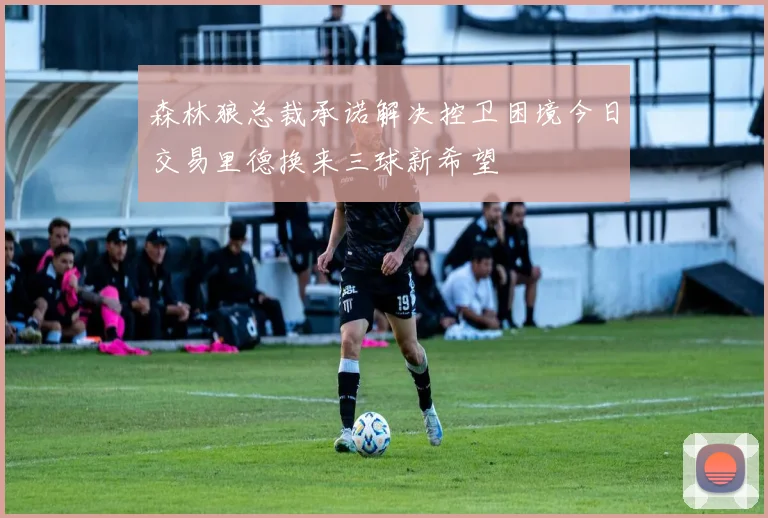 森林狼总裁承诺解决控卫困境今日交易里德换来三球新希望