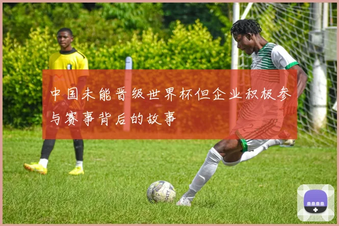 中国未能晋级世界杯但企业积极参与赛事背后的故事