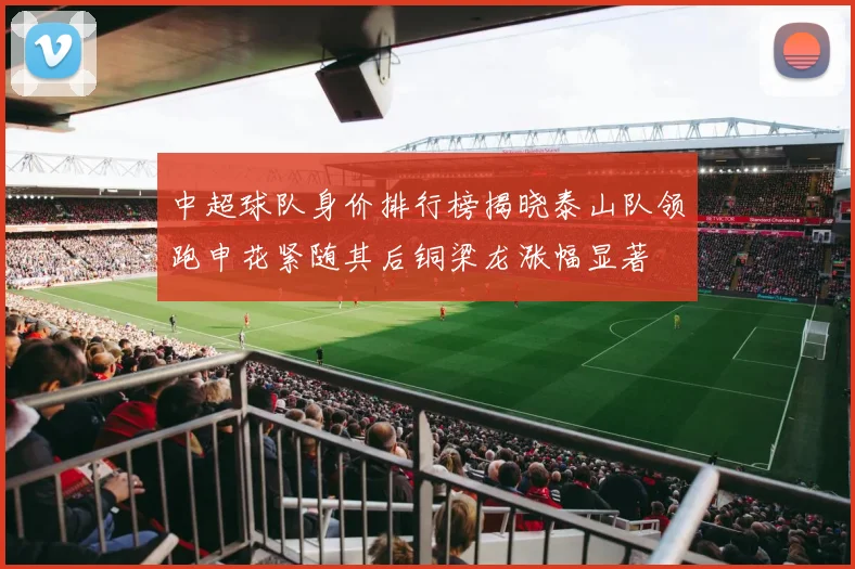 中超球队身价排行榜揭晓泰山队领跑申花紧随其后铜梁龙涨幅显著